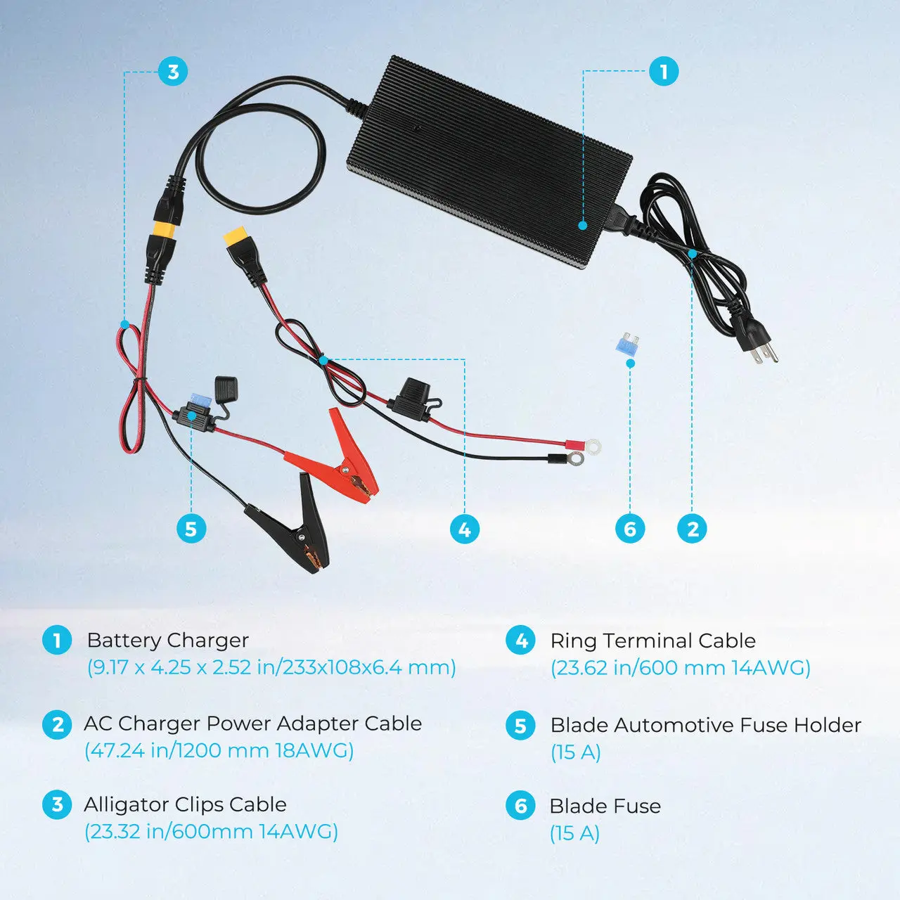 24V 10A AC-to-DC LFP Portable Battery Charger - Image 3